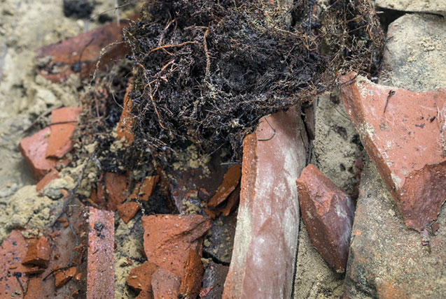Blocked Drains Adelaide Hills